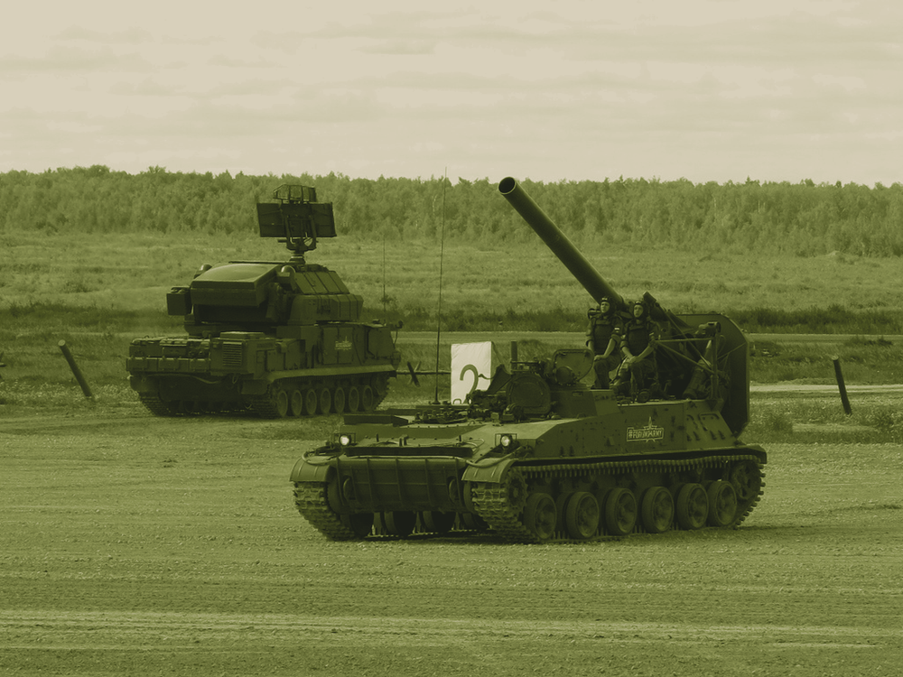 2S4 Tyulpan