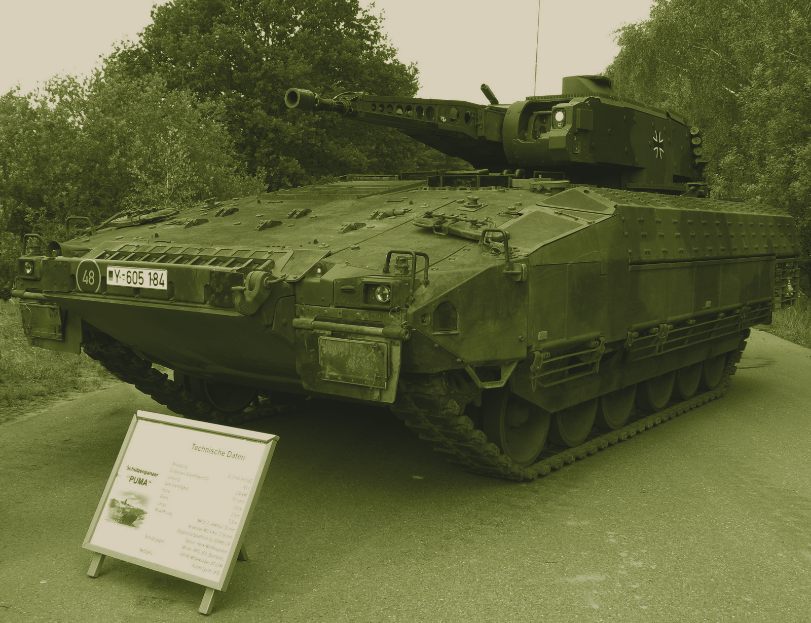 Puma IFV