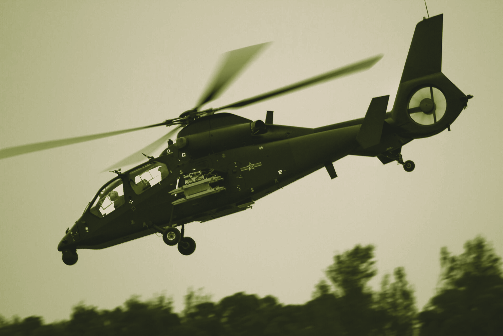 Z-19