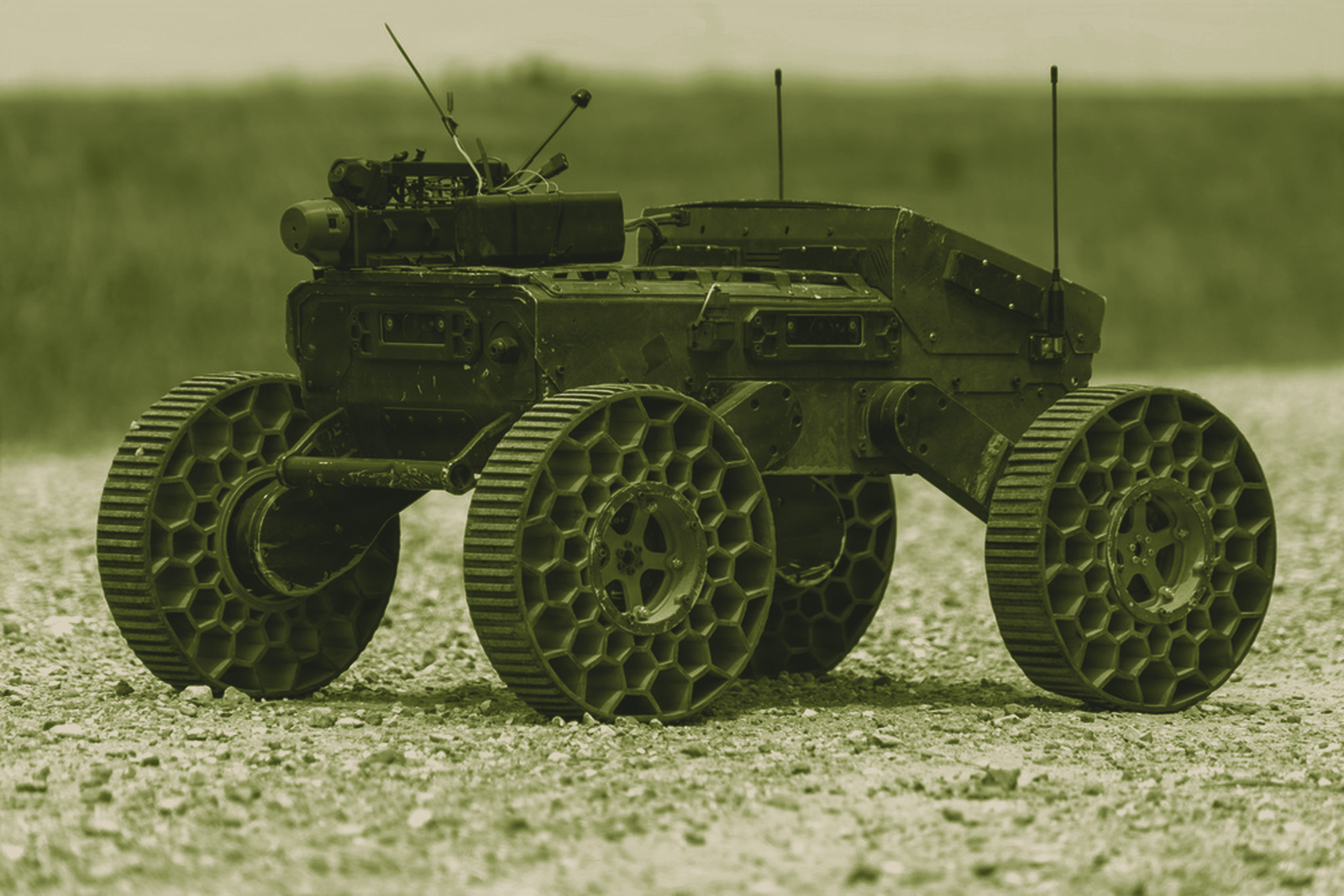 FireAnt (Swarmbotics AI)